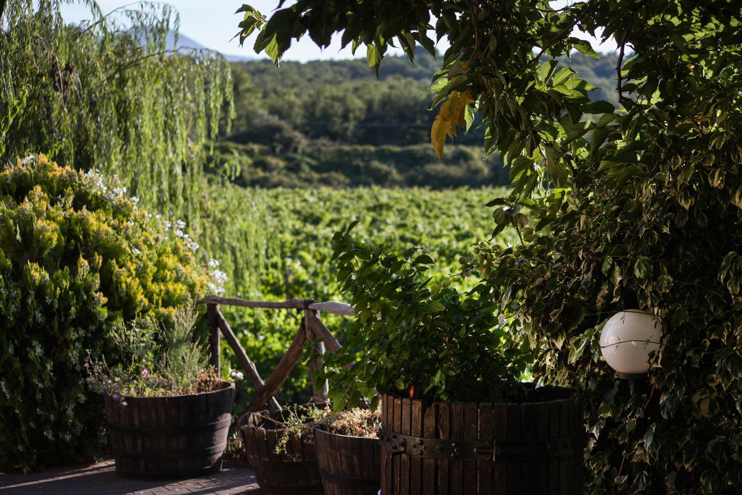 L'Antica Vigna Villa Randazzo Esterno foto